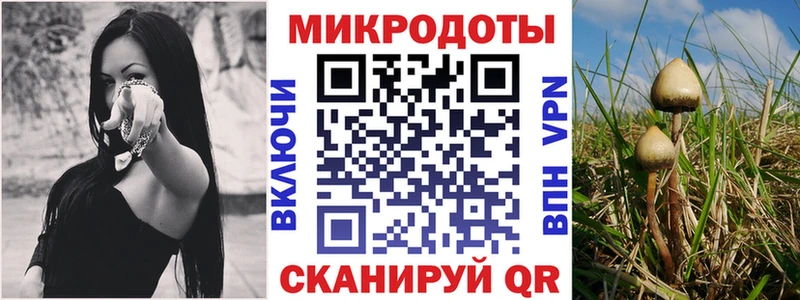 гидра зеркало  Сенгилей  Галлюциногенные грибы прущие грибы 